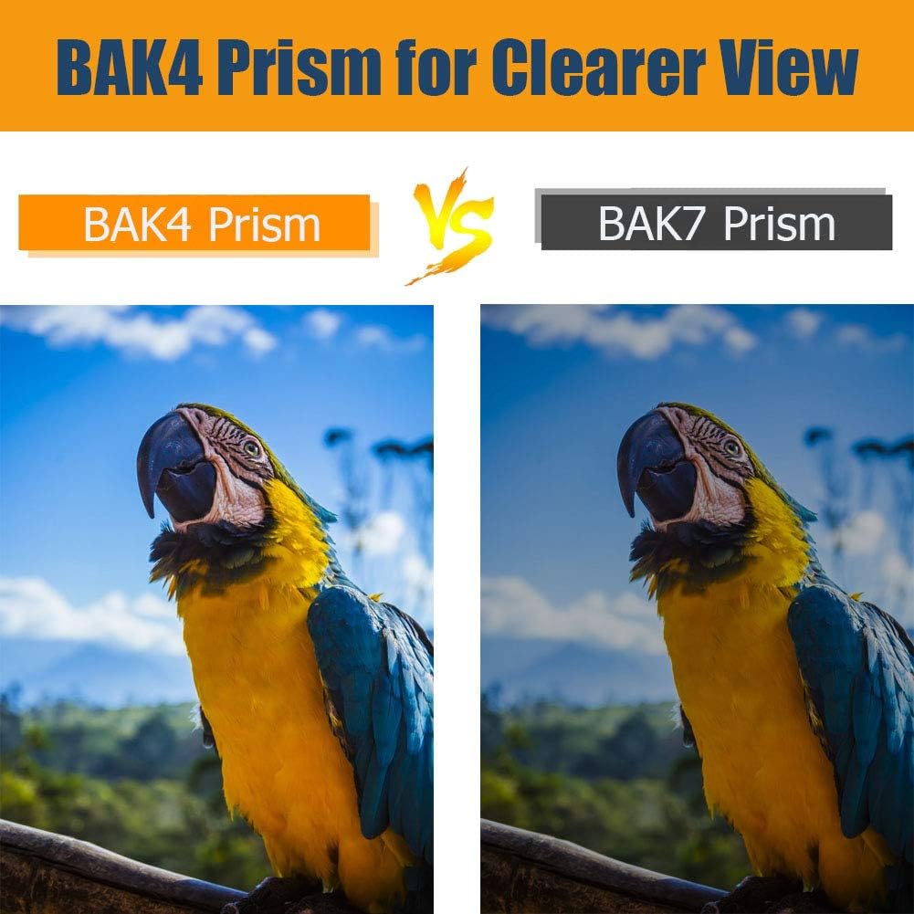 12x25 Binoculars with Low Light Night Vision, ENHOOTA Waterproof Large Eyepiece Binoculars for Adults & Kids, Compact Easy Focus Binoculars for Bird Watching, Hunting, Outdoors Travel, Sightseeing : Electronics