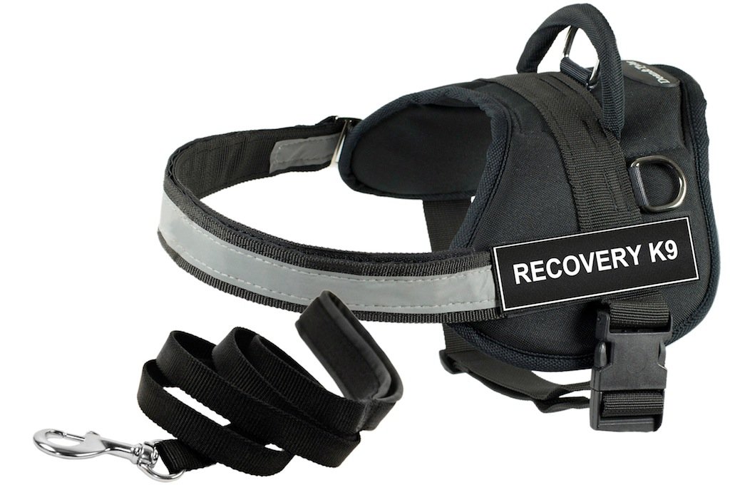 Harnais K9 DT Works noir S avec laisse assortie de 1,8m Dean et Tyler
