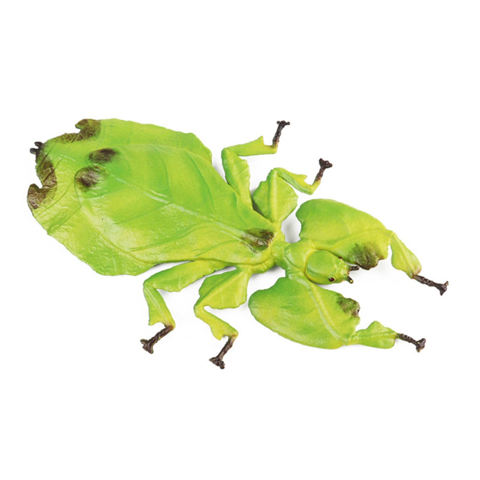 hogtnd Solid Simulation Insect Model Toy Tricky Children Cognitive Gifts Adult Trickster Insect Model