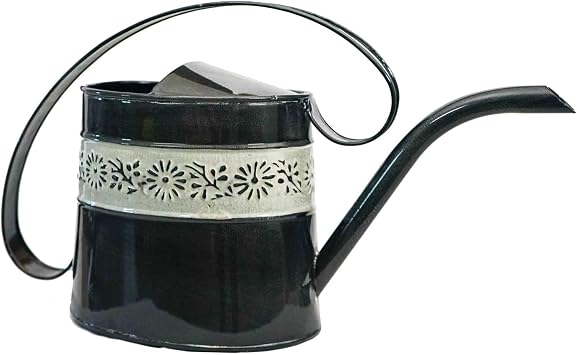 Headwind Willow Decorative Watering Can, 0.5 Gallon Small Metal Watering Can for Indoor Plants & Garden, Vintage Galvanized Steel, Long Spout, Indoor & Outdoor Black Pearl