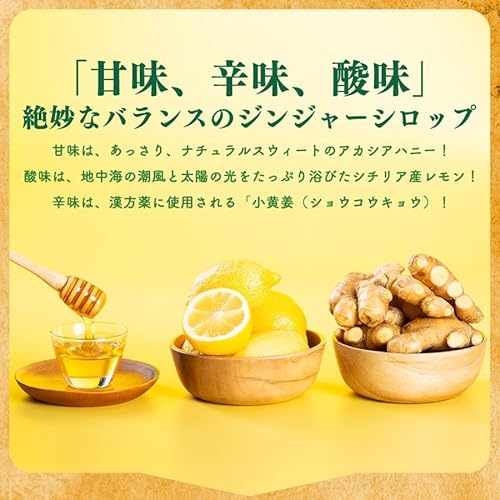 Natruly ジンジャーシロップ 400g