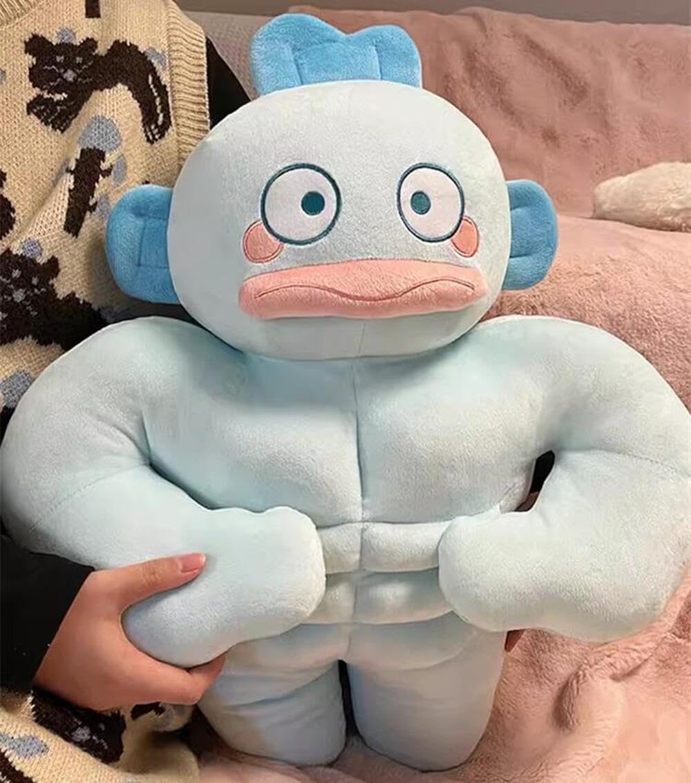 ハンギョドンぬいぐるみ21体まとめ売り被りなし