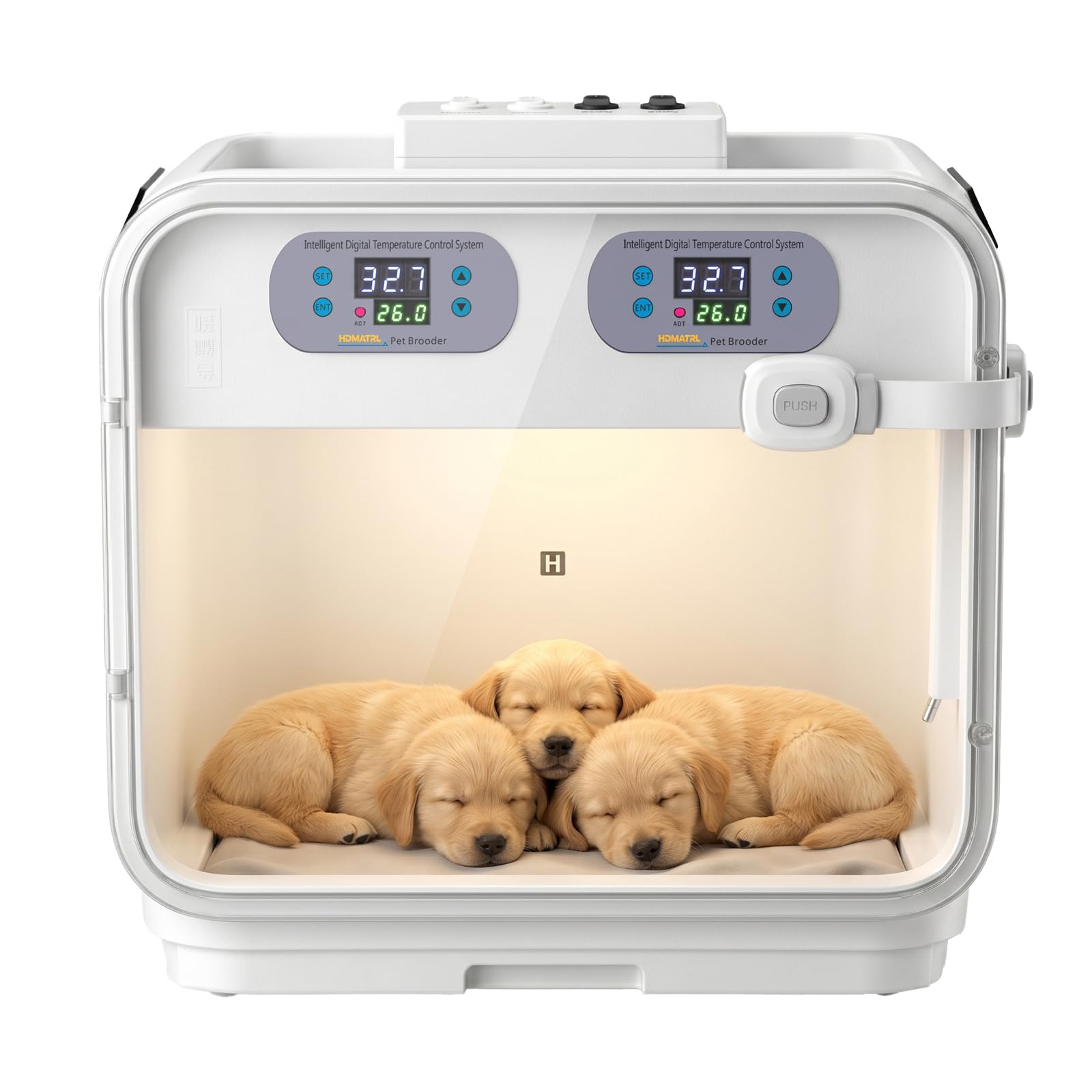 Incubatrice intelligente per cuccioli a temperatura costante, incubatrice per cuccioli appena nati, gattini, piccoli mammiferi e uccelli