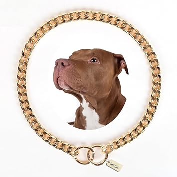 Premium Dog Chain Collar, Gold Plated with Diamond Cut Links, Anti-Tarnish Finish (Never Turns Black), Push Lock Closure (Small), 45 x 1.5 cm