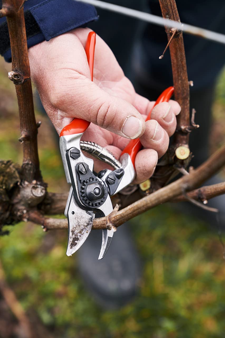 FELCO 14 sekator bypass praworęczny dla małej dłoni, ostrze 40 mm stal hartowana, aluminiowe rękojeści, kompaktowy ergonomiczny sekator