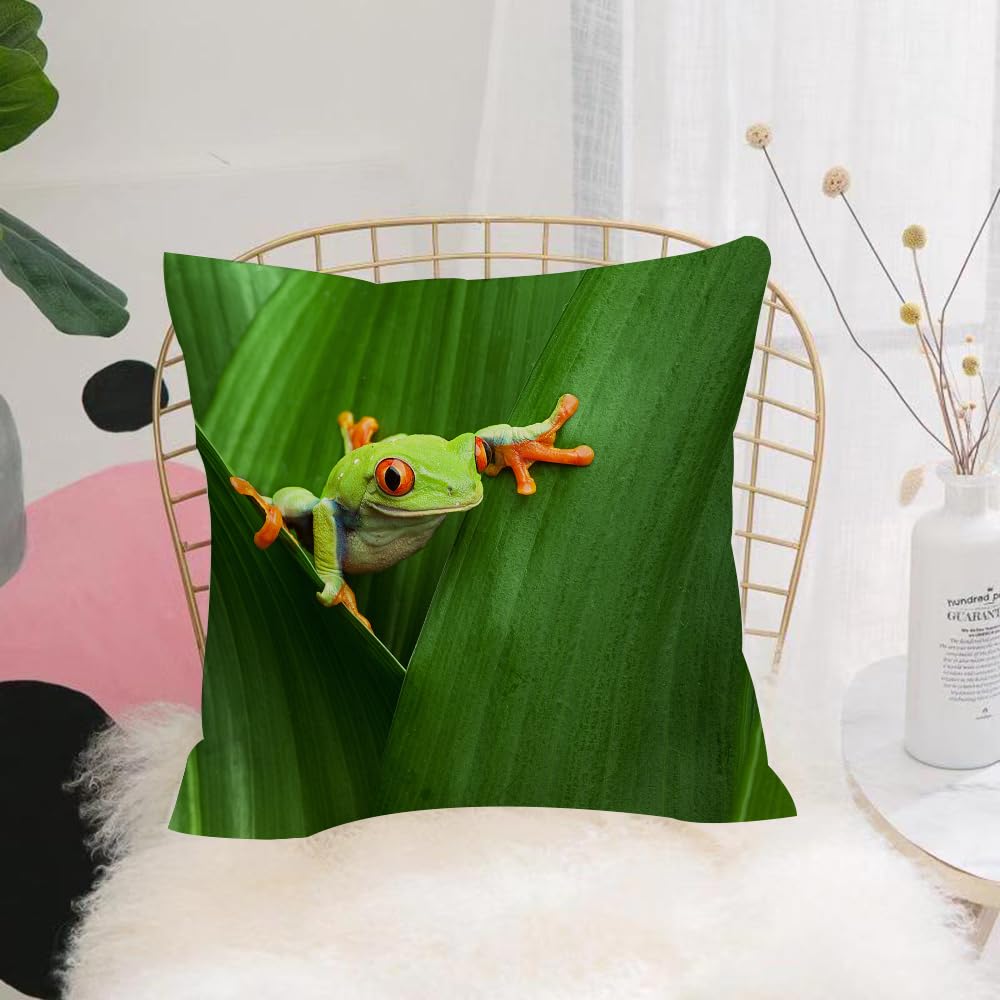HYMSXW Cushion Cover,Throw Pillow Case Home Decorative for Living Room Bedroom Sofa Chair 20X20 Inch,Wildlife tree frog lying on unknown vegetation,Pillowcase 50X50cm