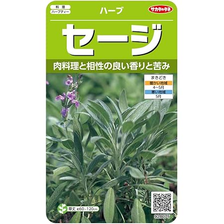 Amazon サカタのタネ 実咲ハーブ8075 セージ ハーブ ハーブ
