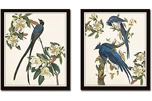 Blue Birds Print Set No. 1: Captivating Vintage Bird Prints for Wall Art and Decor