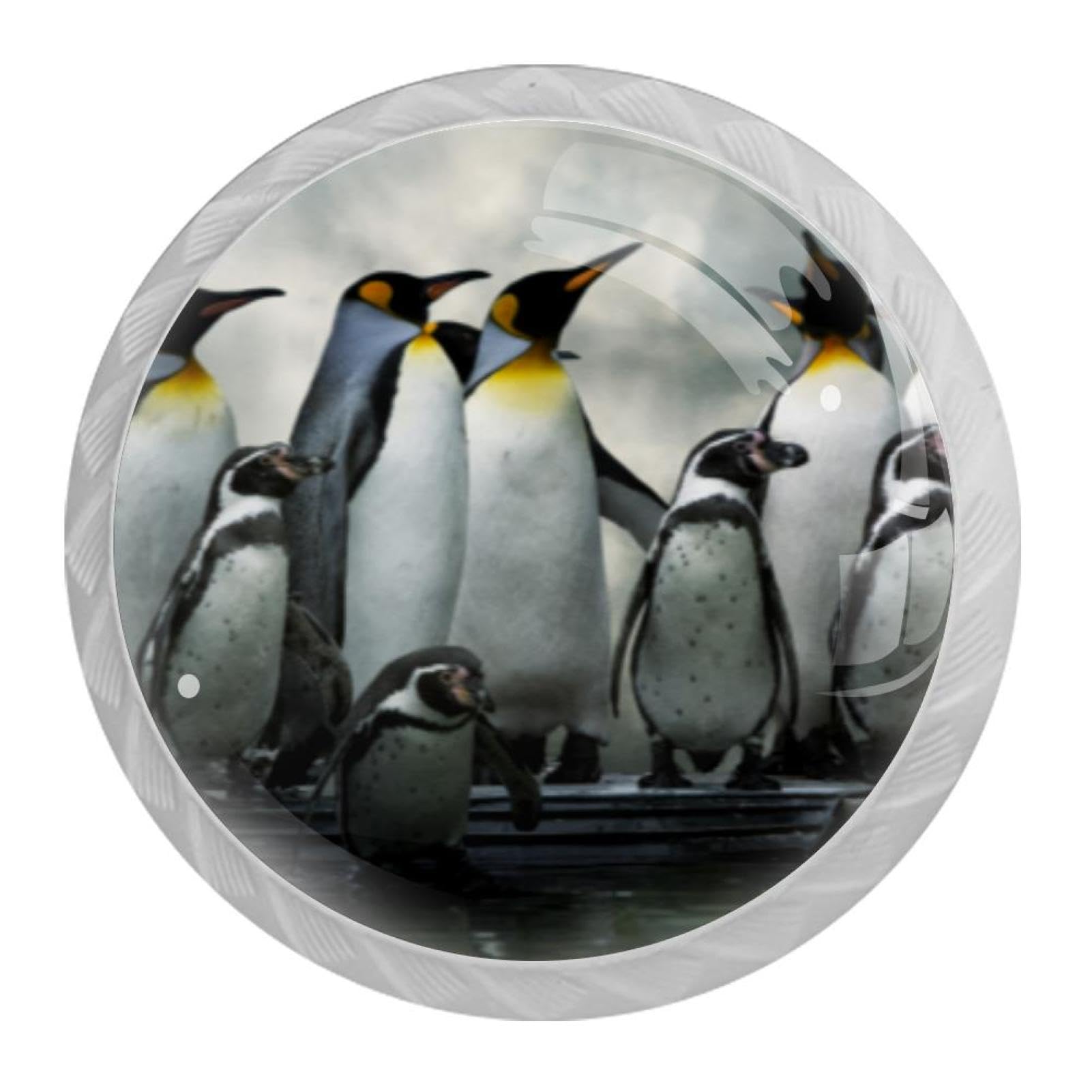 Tqmspg Multi19 4 Pieces Drawer Pulls Penguin Animal Door Knobs Dresser Handles For Kitchen Wardrobe Cupboard Hardware Furniture