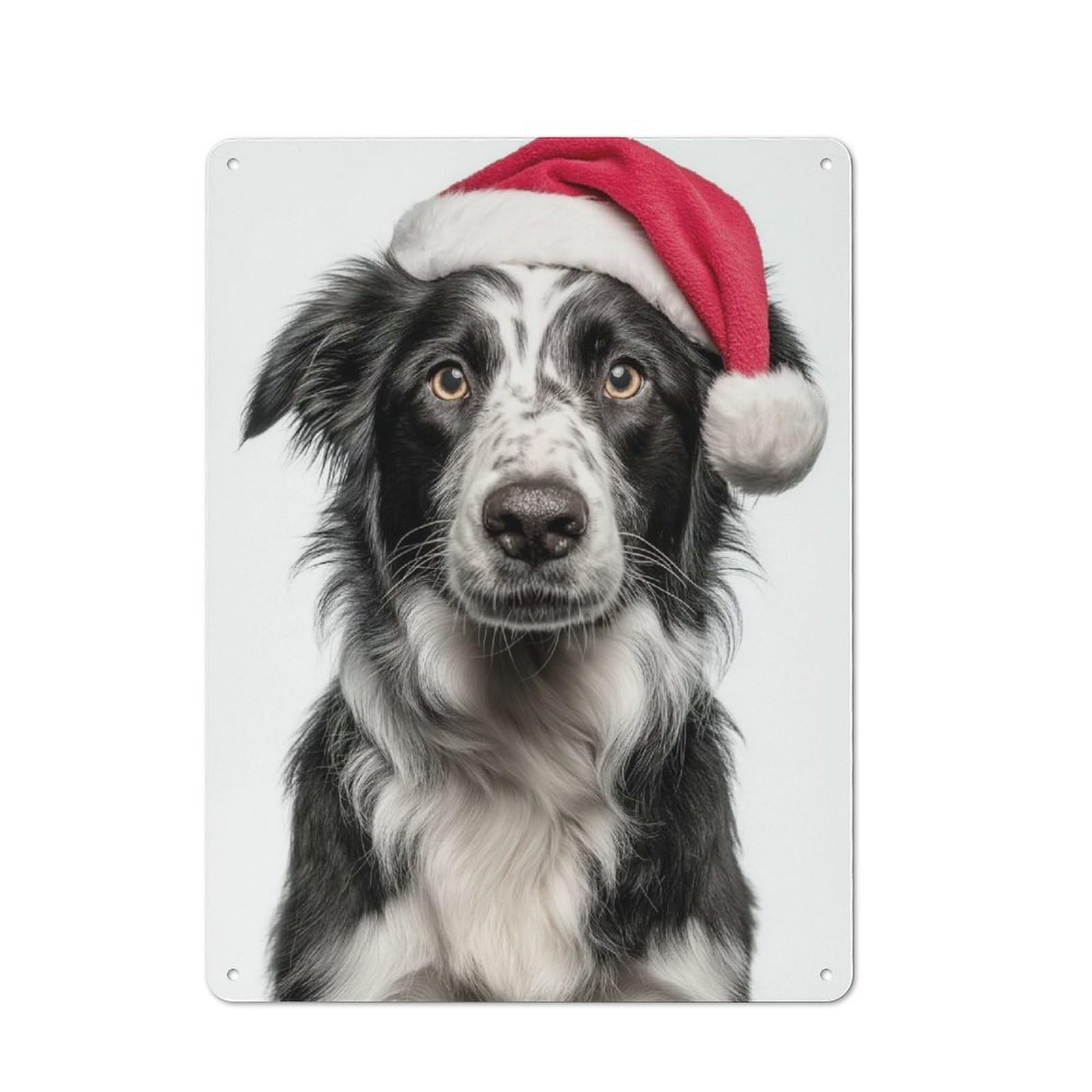 Junmoney Border Collie Dog With Santa Hat Vintage Metal Wall Sign 40X30cm For Garage Or Workshop, For Metal Sign Collectors, For Garage And Workshop Walls
