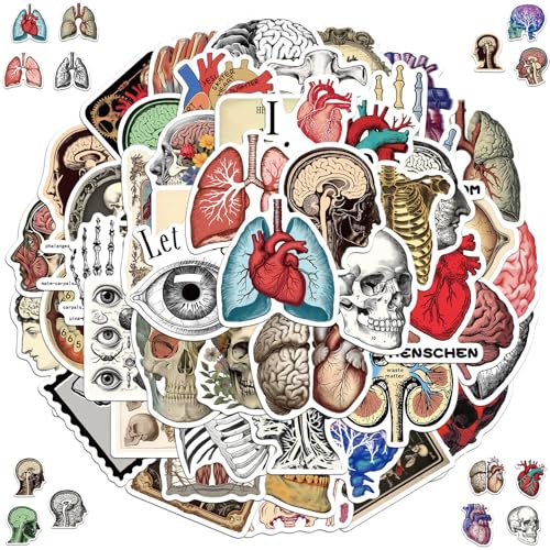 Qxwuyazbryl - Organe Aufkleber, 2 x 50 Stück Anatomie der Organe Aufkleber, Cartoon organs Anatomie Diagramm Aufklebers, Wasserdicht Vinyl Aufklebers, für Laptop Telefon Gitarre Skateboard Motorrad Fahrrad