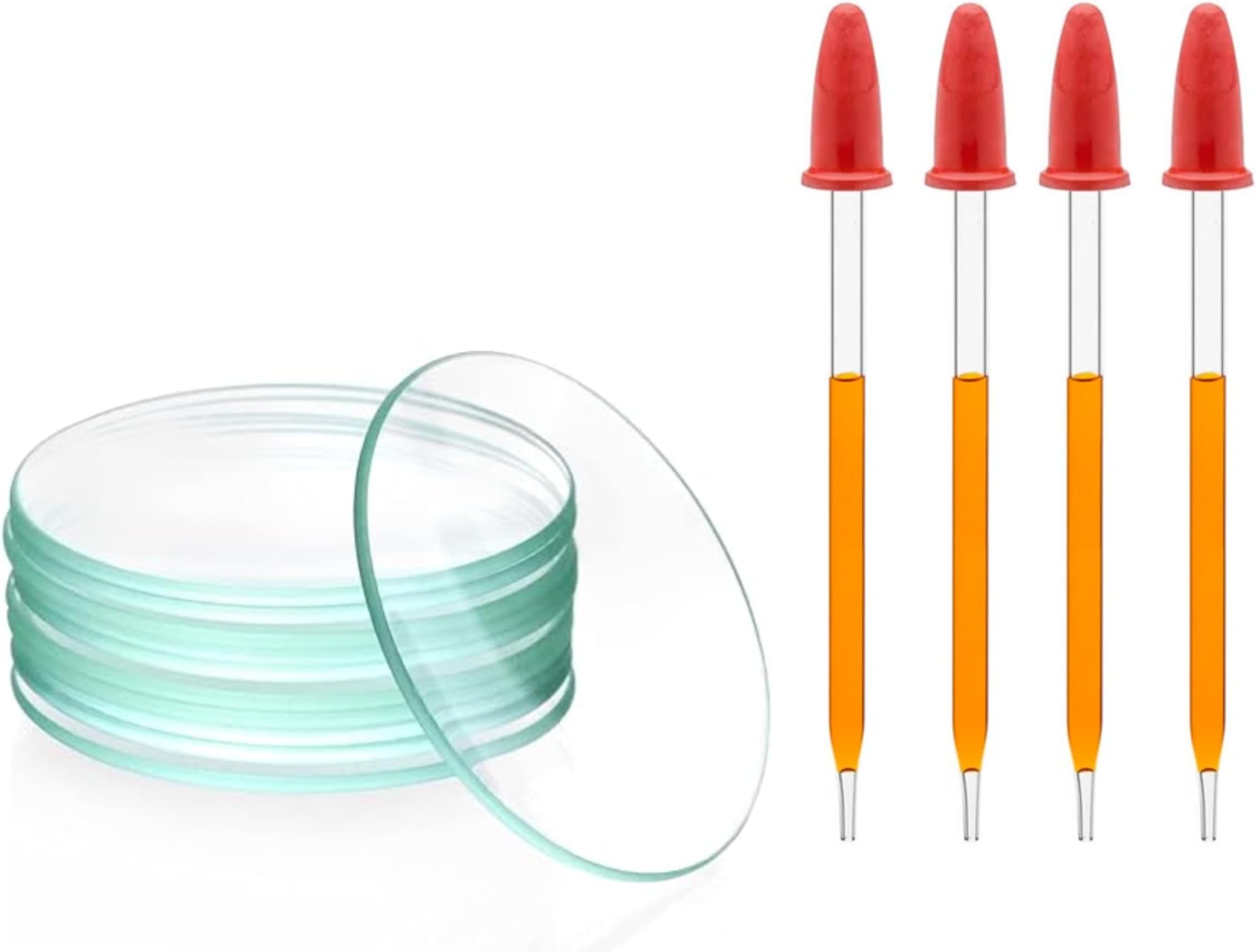 Borosilicate Watch Glass 50mm (12pcs) & Glass Dropper with Red Rubber sucker Cap (4 inch, 4pcs)- for Beaker flask Cover Lab Essential Oils perfume Ink Filler Science Experiments Use Crafts