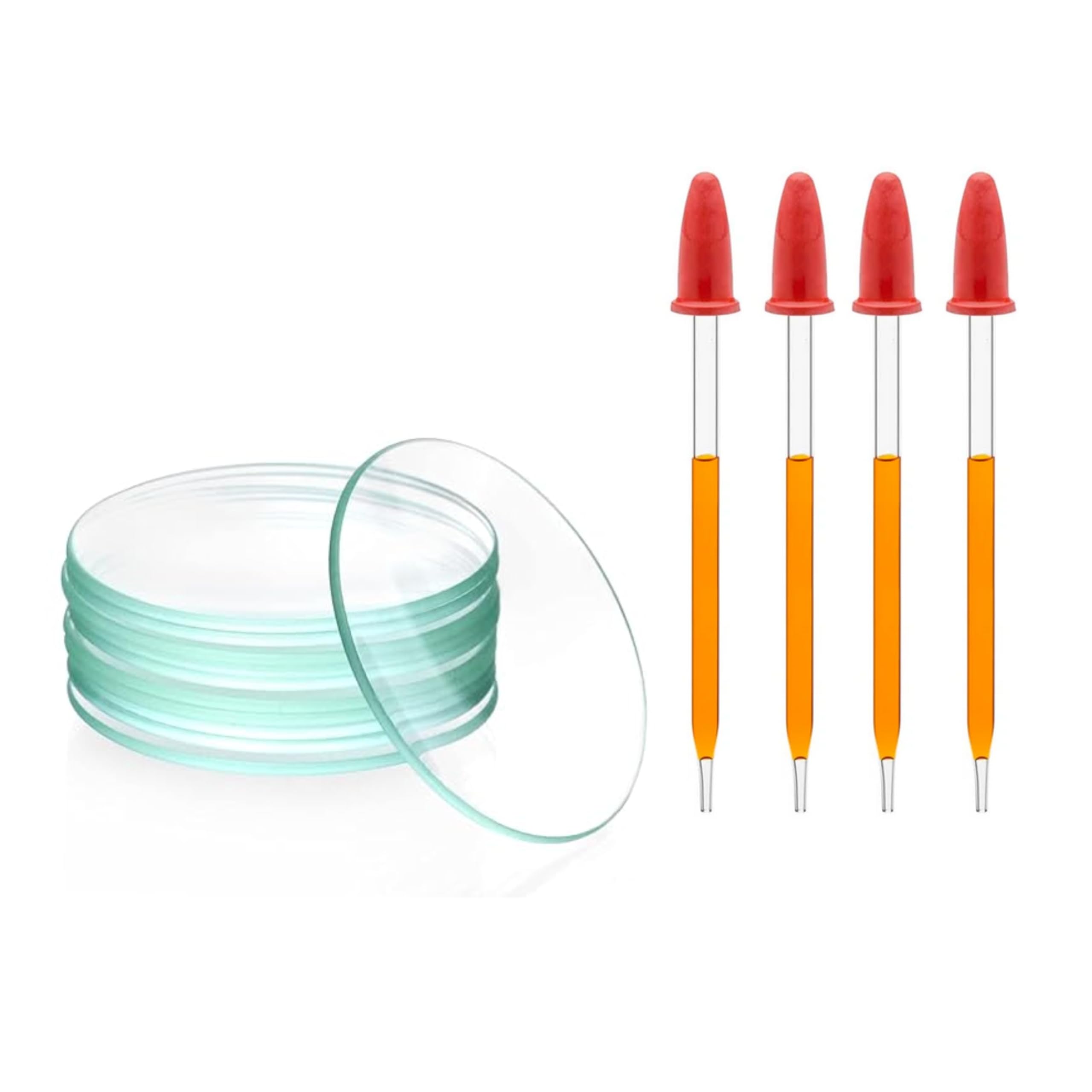Borosilicate Watch Glass 50mm (12pcs) & Glass Dropper with Red Rubber sucker Cap (4 inch, 4pcs)- for Beaker flask Cover Lab Essential Oils perfume Ink Filler Science Experiments Use Crafts