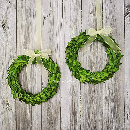 Boxwoodvalley Boxwood Wreath Preserved Round Boxwood Wreath, Door Wall Hanging Window Wedding Party Decoration Farmhouse Decor (Mini 8 Inch (2 Packs)) #TOP6
