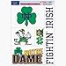 Notre Dame Fighting Irish 11