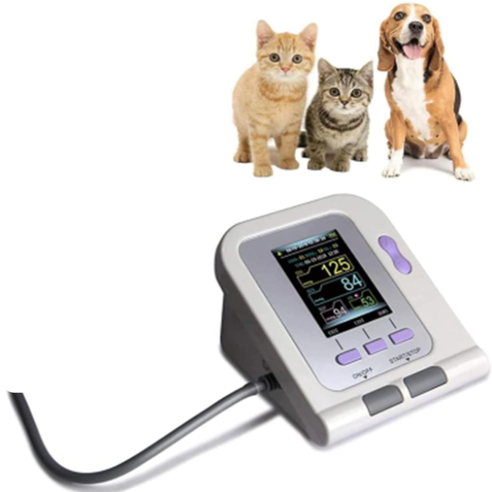 Monitor de presión Arterial electrónico Veterinario, Monitor de presión Arterial para Mascotas, Equipo de Cuidado de Animales para Perros/Gatos/Mascotas
