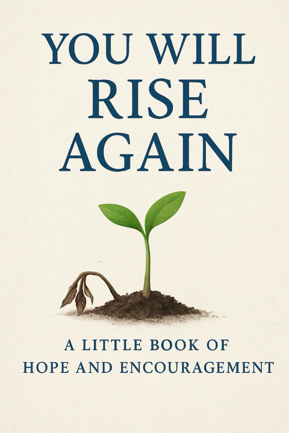 You Will Rise Again: A Little Book of Hope and Encouragement , it helps when you are low or in a dark moment