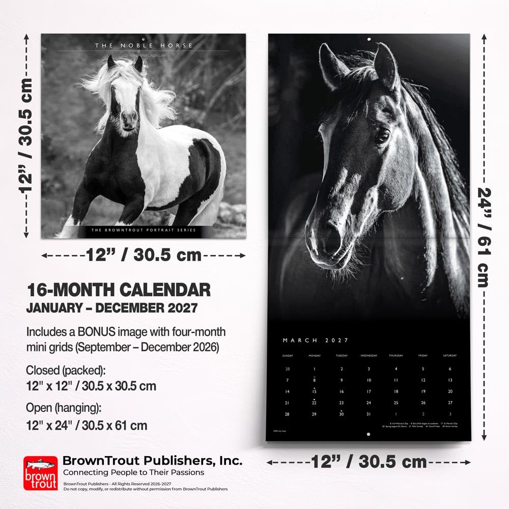 The BrownTrout Portrait Series: El Caballo Noble | Calendario mensual cuadrado de pared 2027 de 12 x 24 pulgadas (colgando) | Sin plástico | Mascotas ecuestres