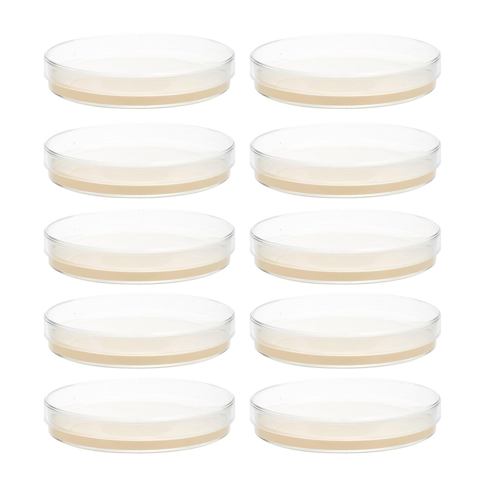 10 Pz Piastre Di Agar Preparato Piastre Di Petri Con Agar Scienza Nutriente Agar Microbial Culture Medium Piastra Di Agar Biologico