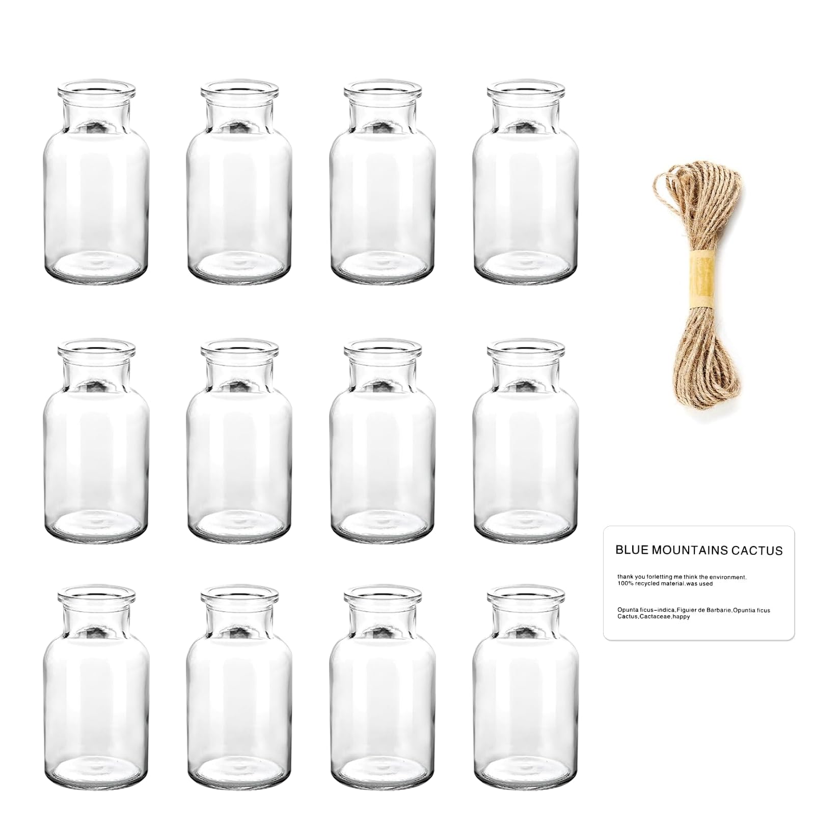 Eidoct Transparent 12Pcs Small Glass Bud Vases Set, 125Ml Mini Vases For Flowers