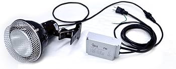 Amazon | ゼンスイ ソーラーラプター HIDランプ 50W | ゼンスイ Amazon | ゼンスイ ソーラーラプター HIDランプ 50W | ゼンスイ