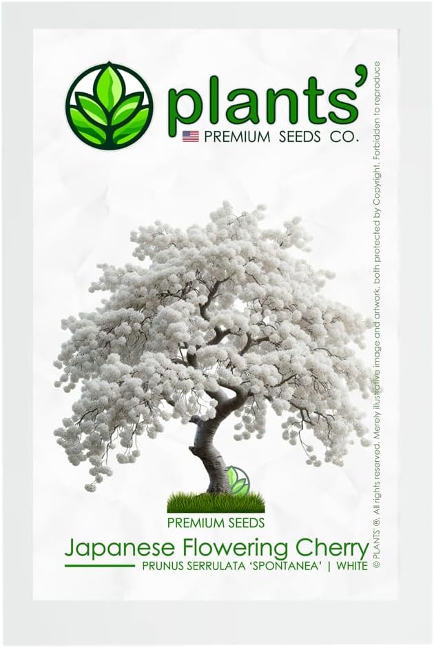 White Japanese Flowering Cherry Tree | Premium Seeds | Prunus serrulata 'Spontanea' | Spring | Plants'® (Premium Seeds, 100)