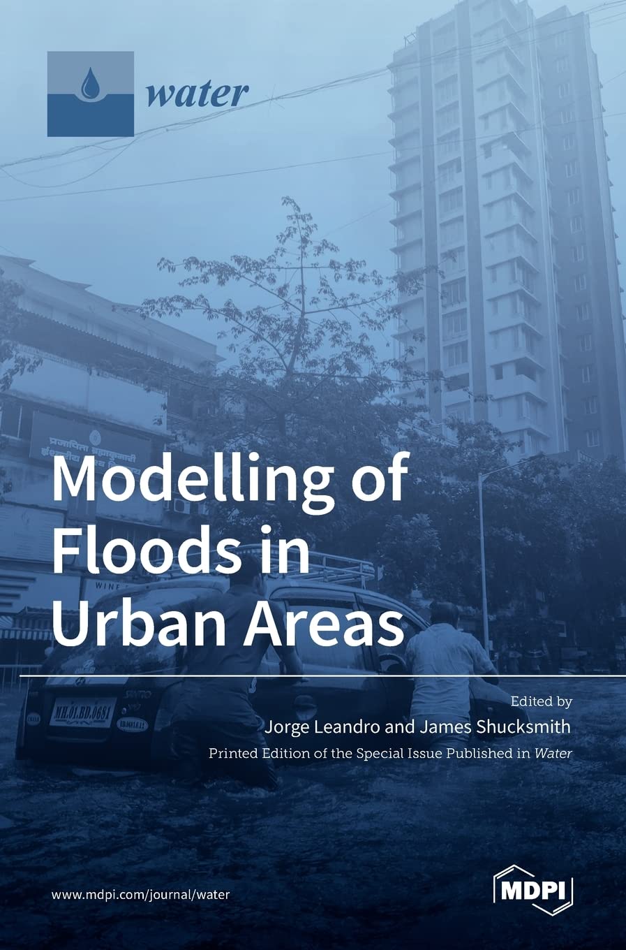 Buy Modelling of Floods in Urban Areas โ BookShops.in
