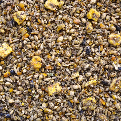 Mühldorfer Revital 'Klinikum' Prebiotic - 20 kg - Pferdefutter bei Verdauungsbeschwerden, Kotwasser, Koliken oder Durchfall