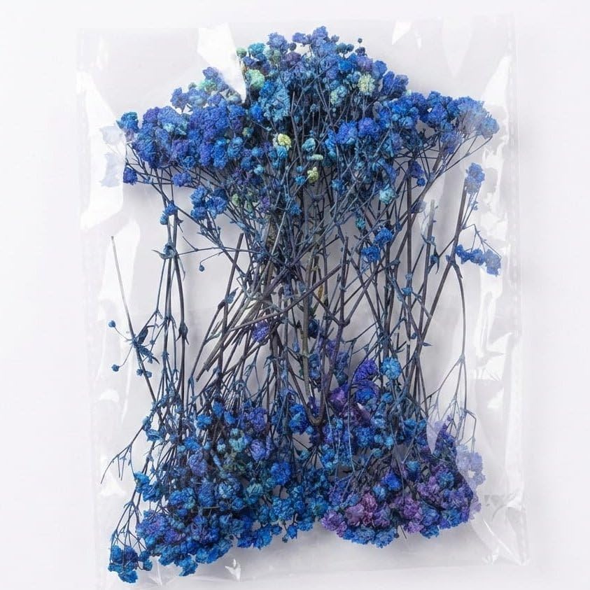 Baby Breath Dried Flower Pack, Blue-image-21
