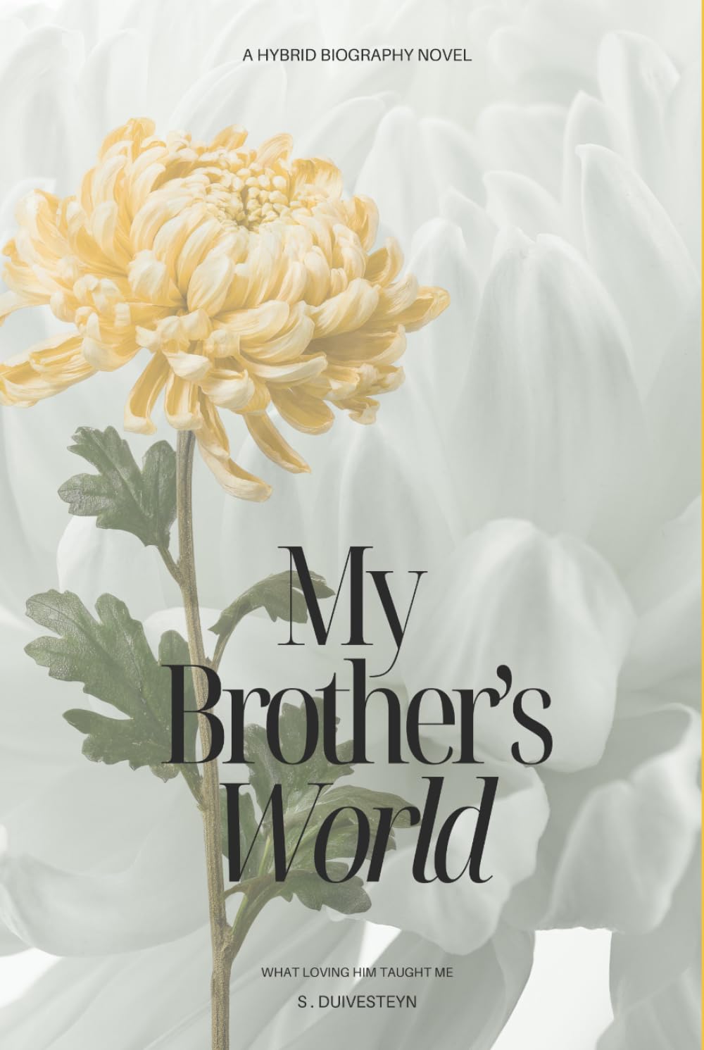 My Brother's World: What Loving Him Taught Me