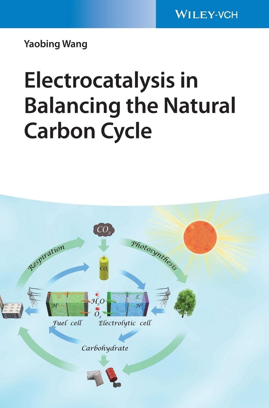 Electrocatalysis in Balancing the Natural Carbon Cycle by Yaobing Wang HARDBACK