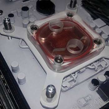 61DTMN4dpwL._AC_UF350,