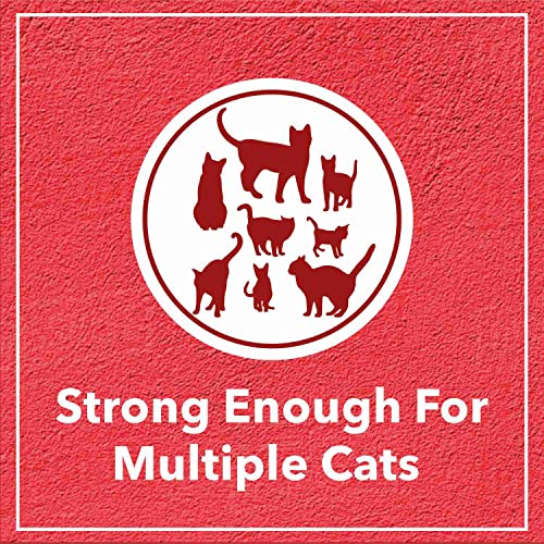 Image of Drools Bentonite Clumping Cat Litter 20kg Pack | Lavender Fragrance | Pet and People Friendly | Super Absorbent of Liquids | Chemical & Dust Free