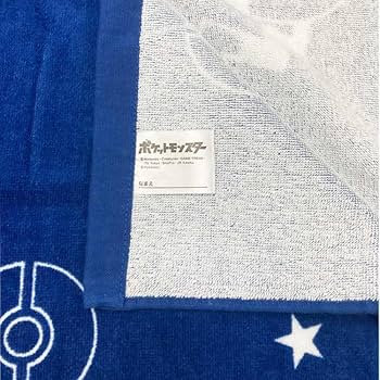 Amazon.co.jp: 林(Hayashi) ラップタオル Lサイズ 約80×120cm