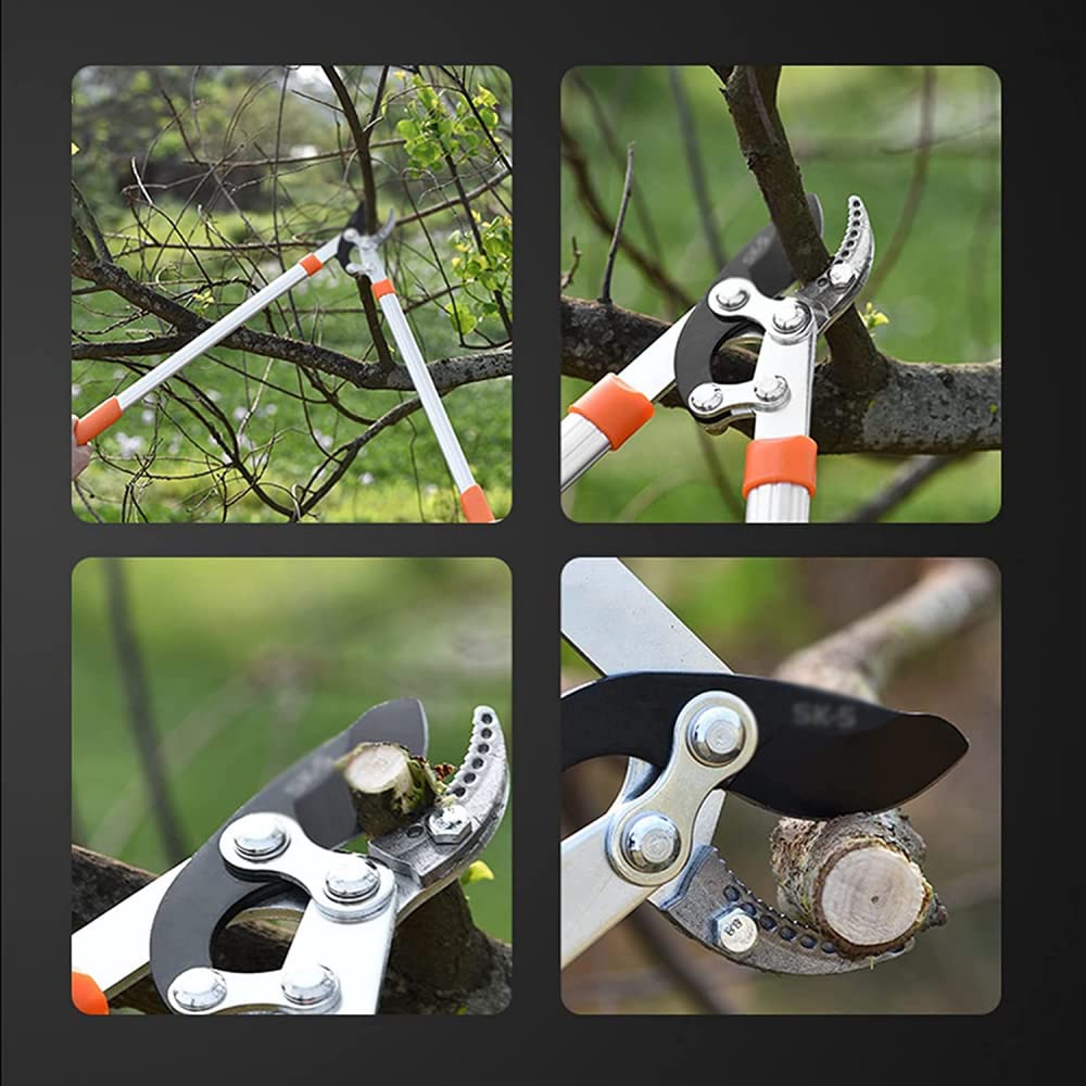ARKEM Tijeras Para Podar áRboles, Podadora De Ramas Altas Para JardíN, Tijeras TelescóPicas Para Podar áRboles Con Mango Largo Para Uso DoméStico