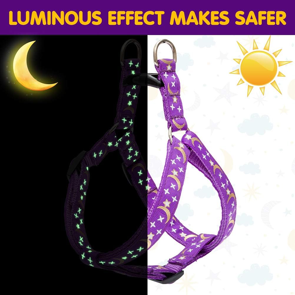PUPTECK Small Dog Harness Collar Leash Set - No Pull Step in 3 Pieces Adjustable for Puppy Medium Doggie Daily Walking Running Hiking and Training, Glow in The Dark with Star and Moon Pattern