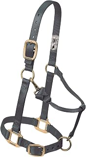 Weaver Leather Original Adjustable Chin and Throat Snap Halter, 3/4