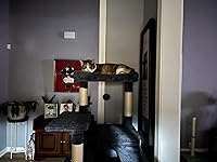 Review Image by connie connie