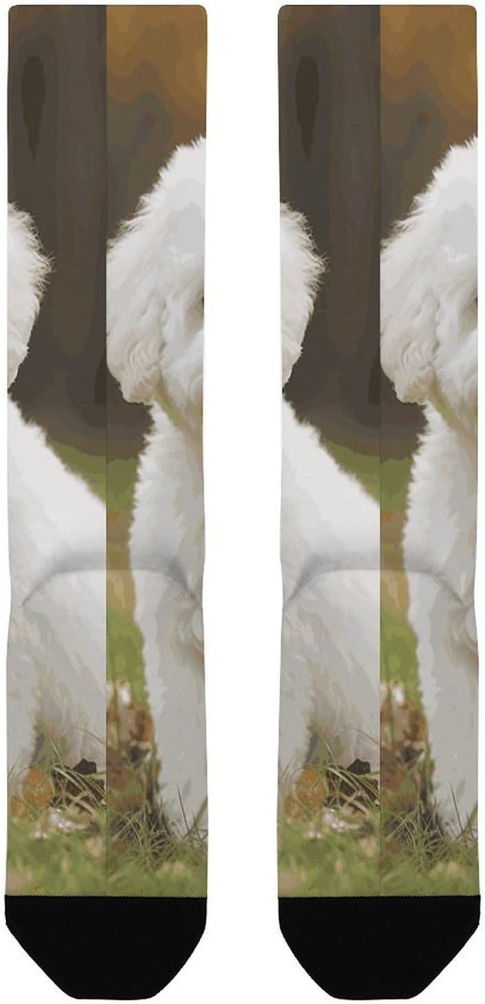 Knee High Socks Bichon Frise Dog Long Tube Boot Seamless Toe