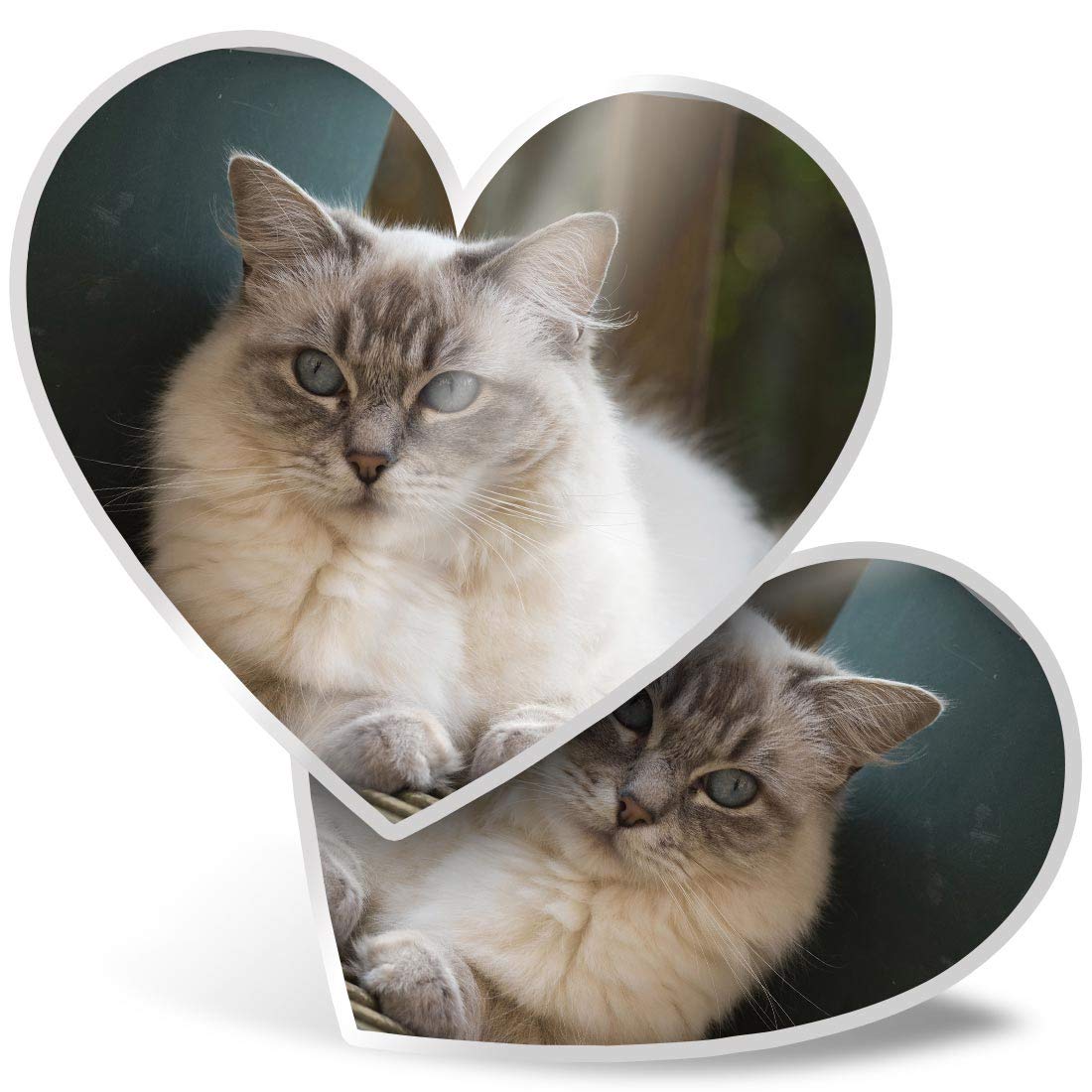 Destination Vinyl Ltd Multi 2 X Heart Stickers 7.5 Cm - Ragdoll Cat Kitten Cats Cute 2285