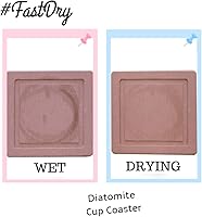 Vista 7 de Paquete de 2 posavasos de diatomita, posavasos de absorción rápida de agua, soporte para vasos de diatomeas autosecado, bandeja para plantas Rosa