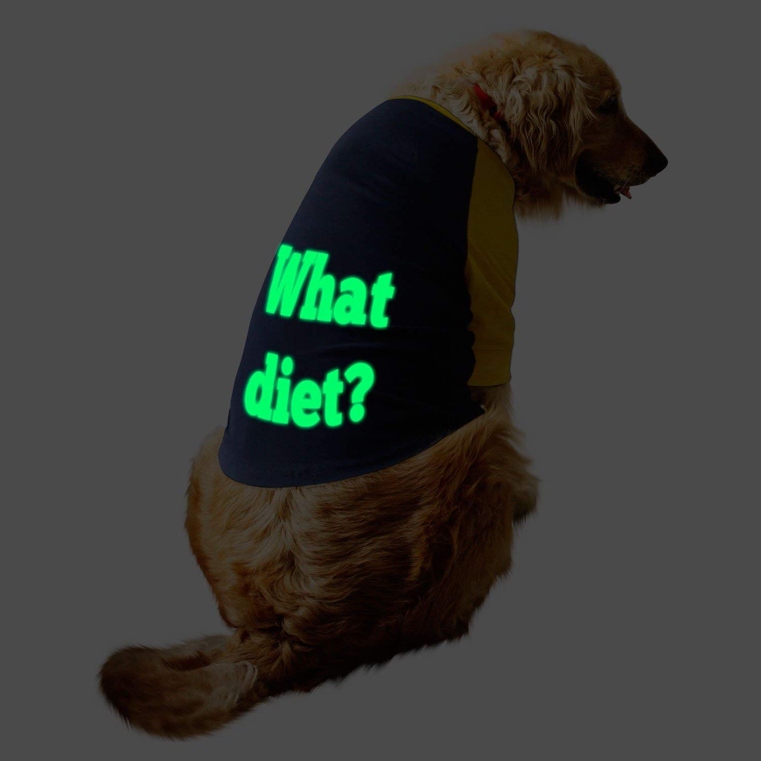 Ruse Pet Clothes What Diet Glow in The Dark Printed Full Sleevess Round Neck Raglan Dog Streetwear T-Shirt/Tees Apparel for Dogs./Small (Apso, Shih Tzu etc.) (B087C6QCRN) Amazon Price History, Amazon Price Tracker