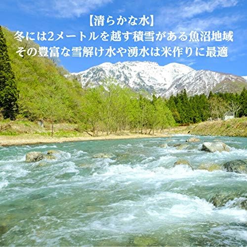 精米 新潟県 魚沼産 コシヒカリ 白米 米 コメ(5㎏×1袋)
