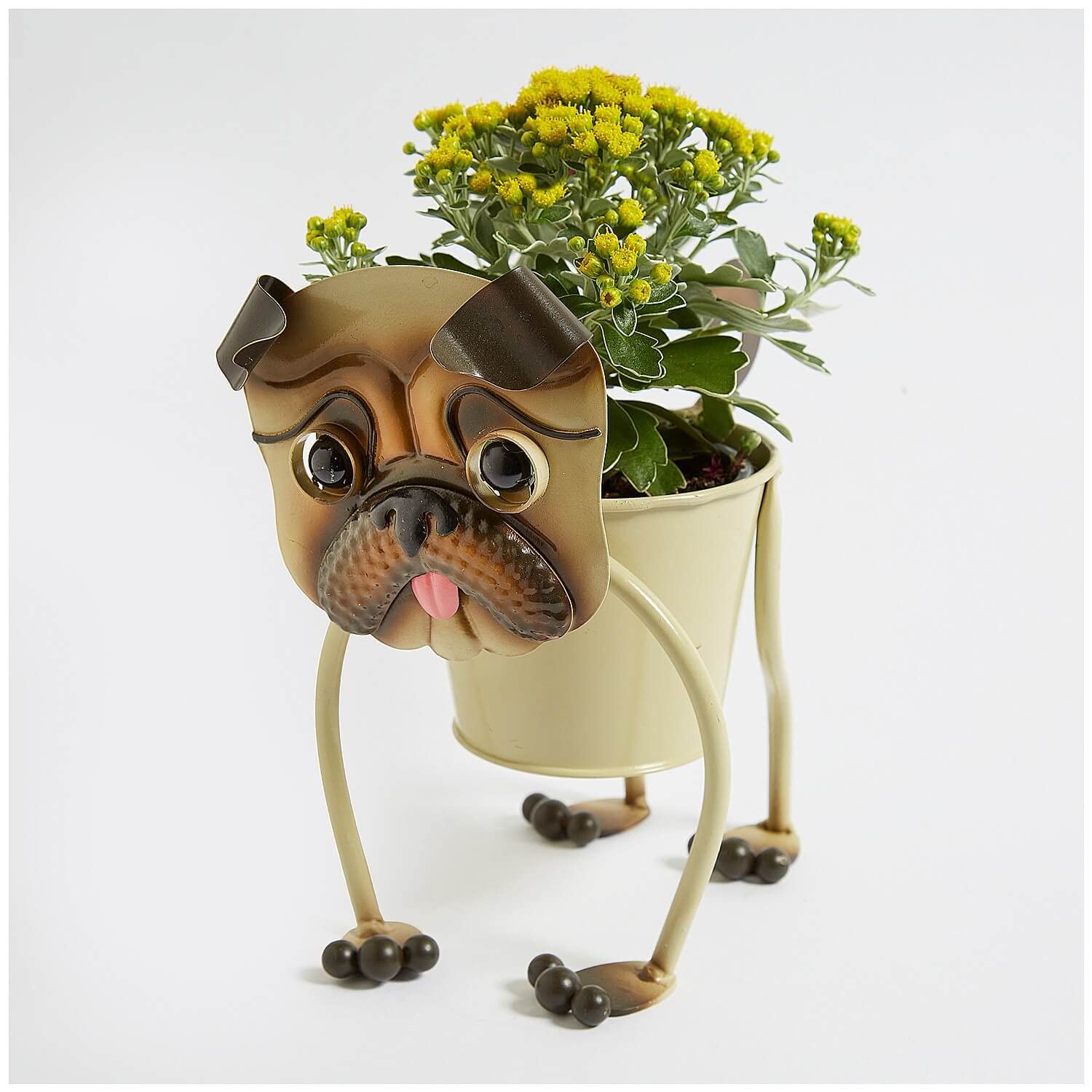 Coopers of Stortford Nodding Dog Planter | Schnauzer, Pug or French Bulldog (French bulldog)