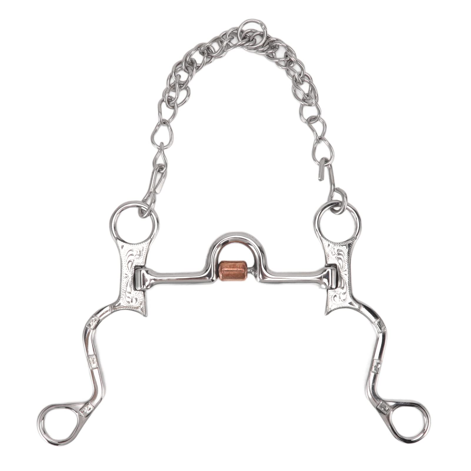 Filete de Boca de Caballo de 120 mm con Cadena, Broca de Caballo de Acero Inoxidable para Equipo de Entrenamiento Ecuestre