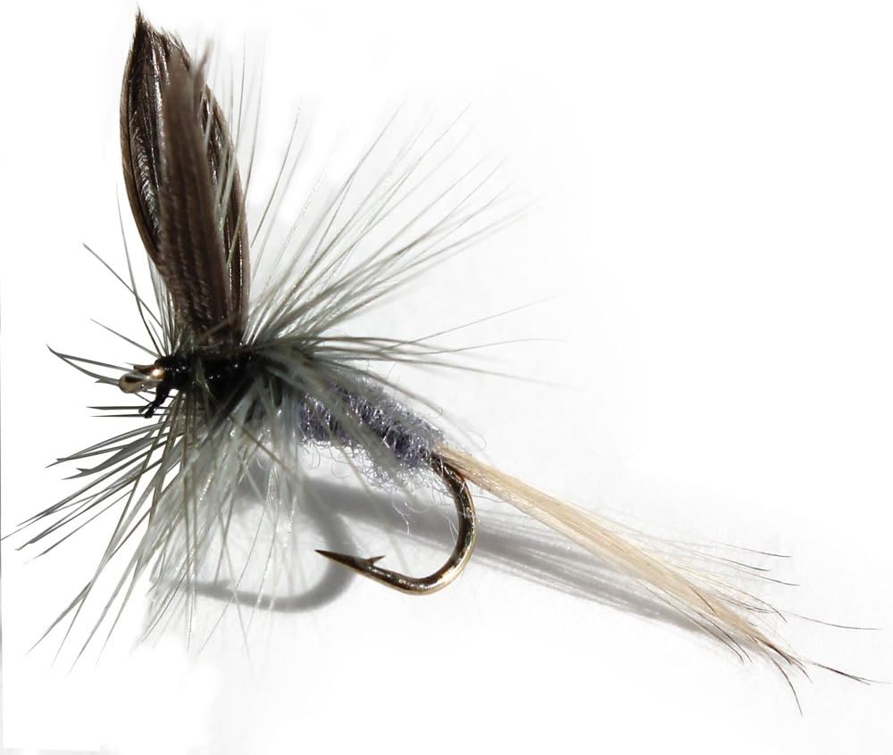 Flies Direct Blue Dun Assortment Trout Fishing Flies (1-Dozen) : Wet Fishing Flies : Sports & Outdoors
