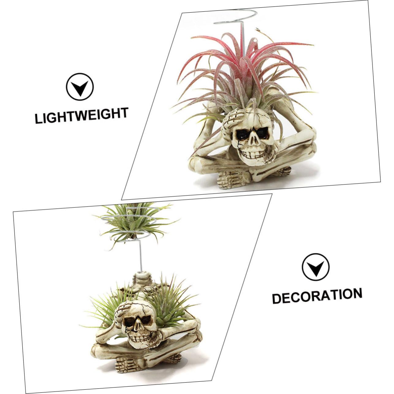 BESTonZON 4 Pezzi Di Decorazioni A Forma Di Scheletro Con Ornamenti Per Esterni Scheletri Hey Teschio Appeso Per Halloween Resina Spaventosa