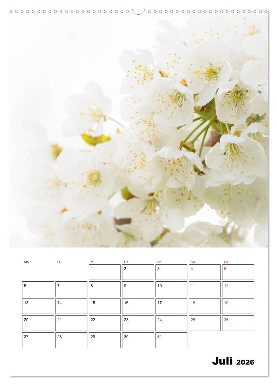 Farben der Natur (hochwertiger Premium Wandkalender 2026 DIN A2 hoch), Kunstdruck in Hochglanz: Farben für die Seele! Jede Farbe hat eine Wirkung und ... Gefühle und unsere Stimmung. (CALVENDO Natur)