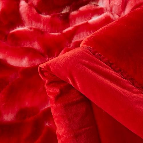 Miniatura 5 de LGYKUMEG Manta de forro polar de 12 libras, tamaño Queen, 83 x 93 pulgadas, manta de visón coreano, suave y cálida, manta de franela de felpa suave