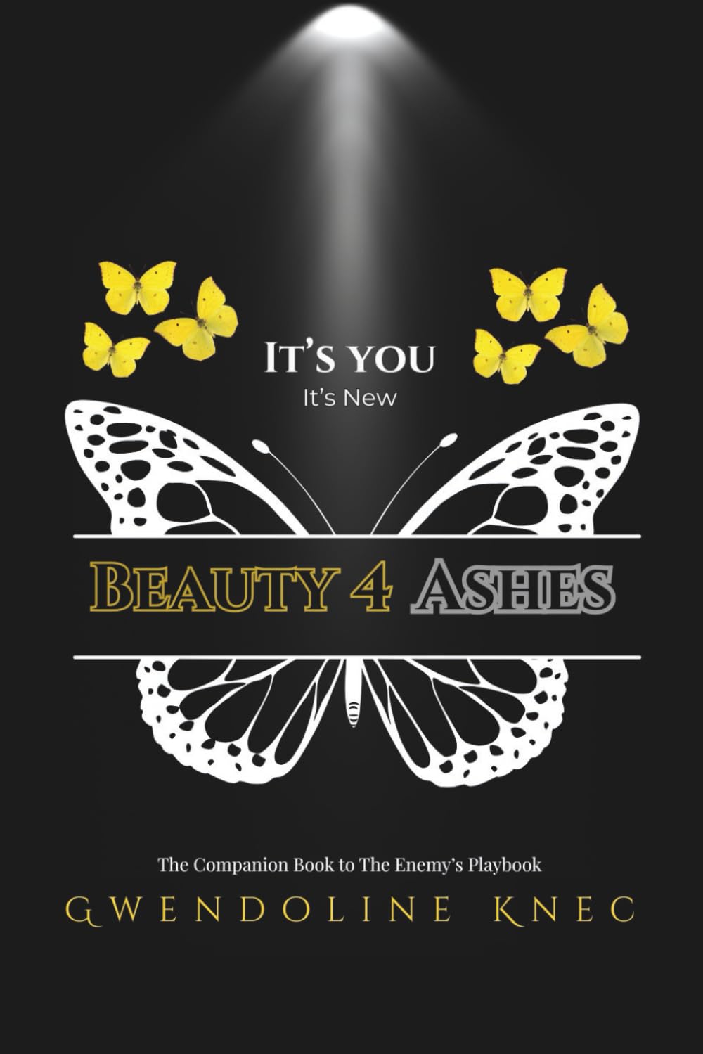 It’s You It’s New: Beauty 4 Ashes: The Companion Book to The Enemy’s Playbook